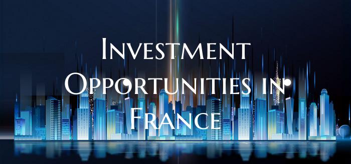 Investment Opportunities in France